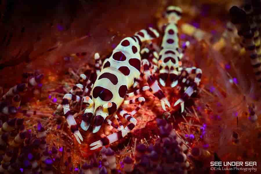 Thumbnail 6 Thumbnail 6