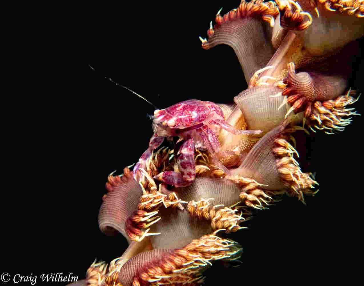 Thumbnail 9 Thumbnail 9