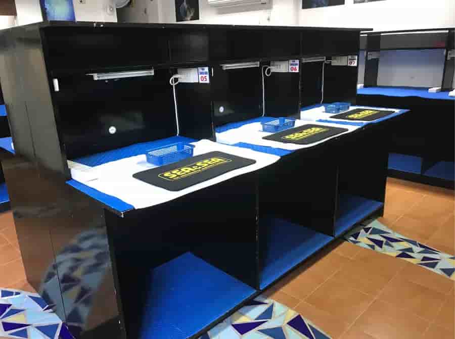 Thumbnail 12 Thumbnail 12