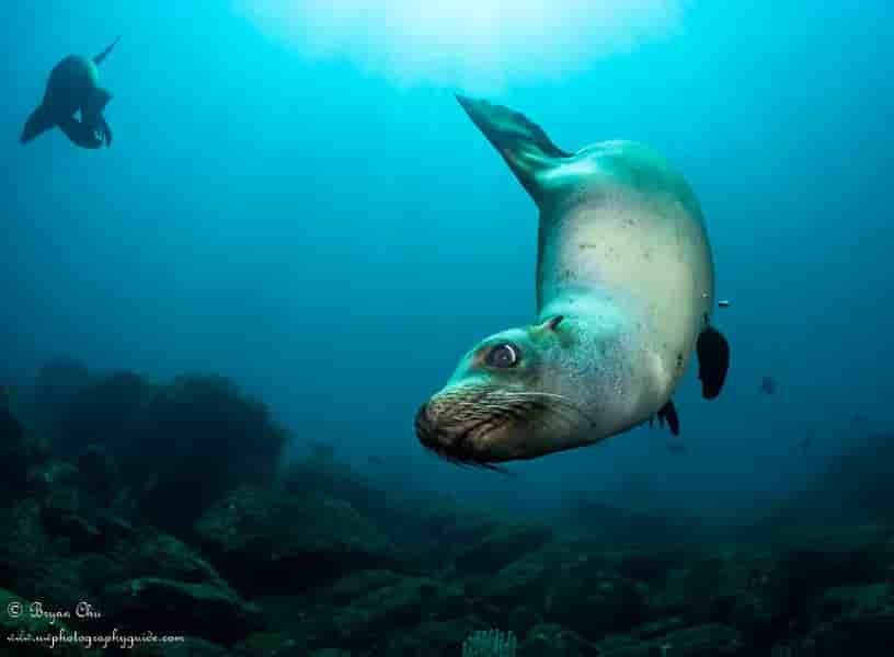 Thumbnail 1 Thumbnail 1