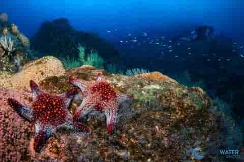 Thumbnail 2 Thumbnail 2