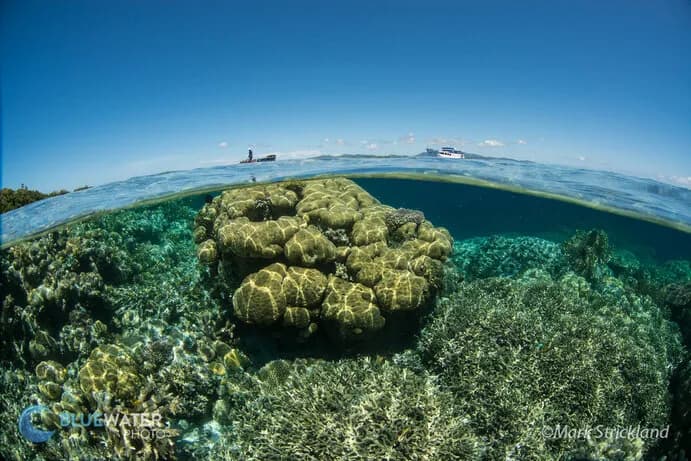 Carousel - image Carousel - image