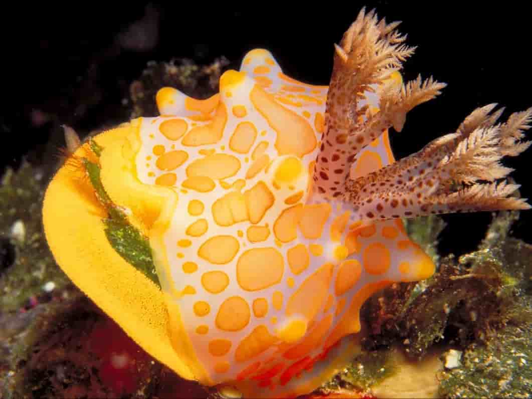 Thumbnail 3 Thumbnail 3