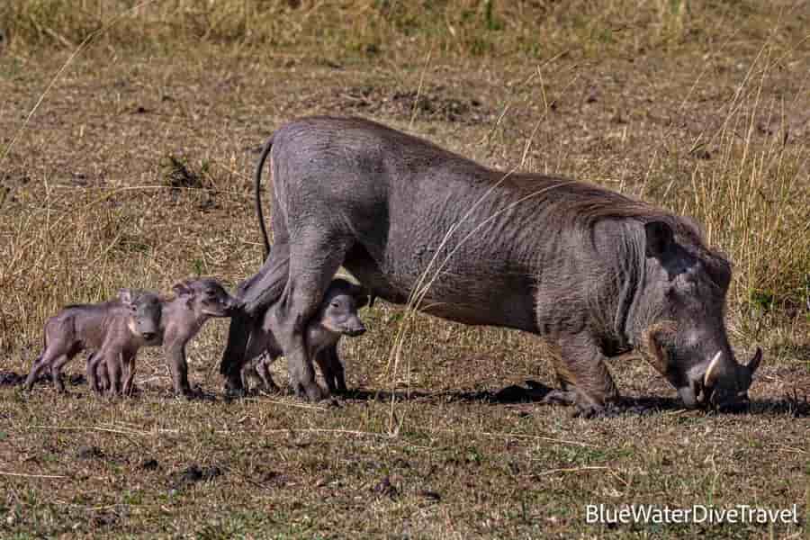 Thumbnail 2 Thumbnail 2