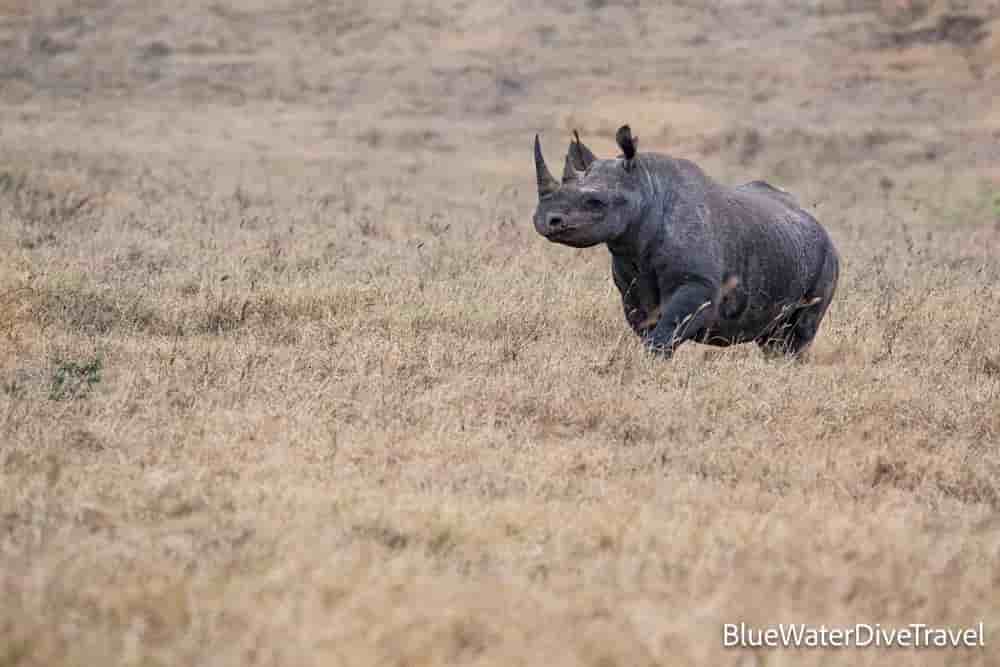 Thumbnail 4 Thumbnail 4