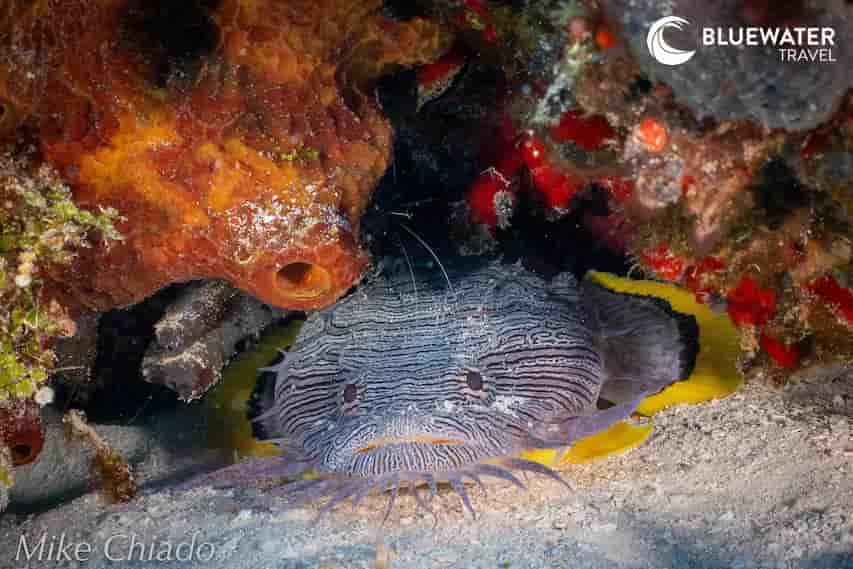 Thumbnail 3 Thumbnail 3