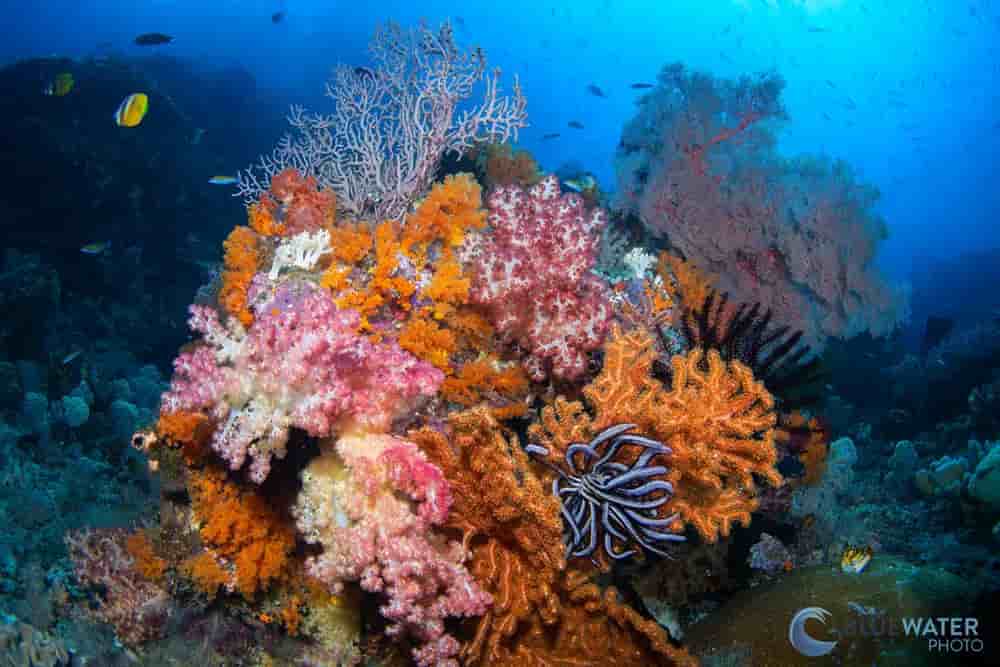 Thumbnail 6 Thumbnail 6