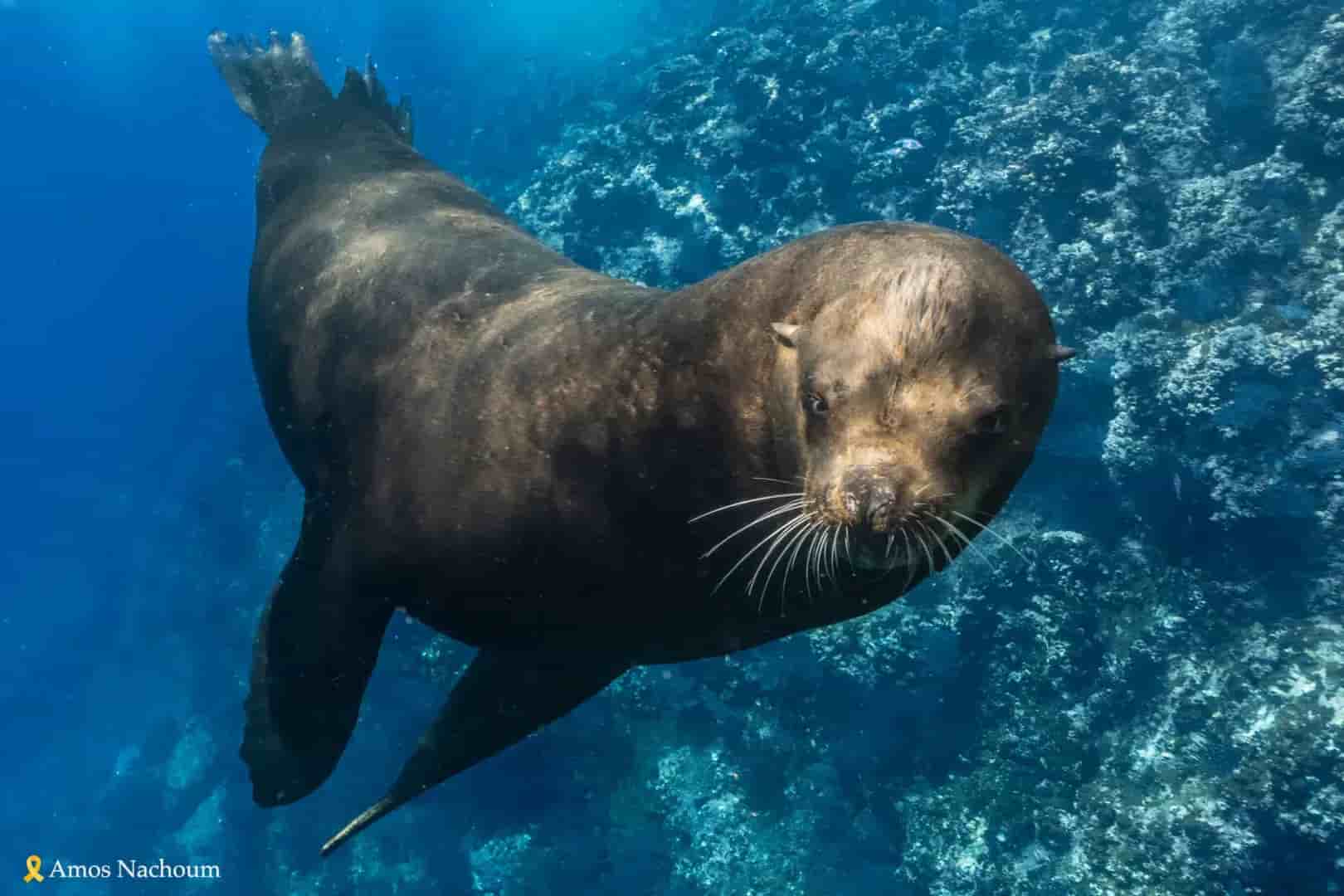 Thumbnail 4 Thumbnail 4