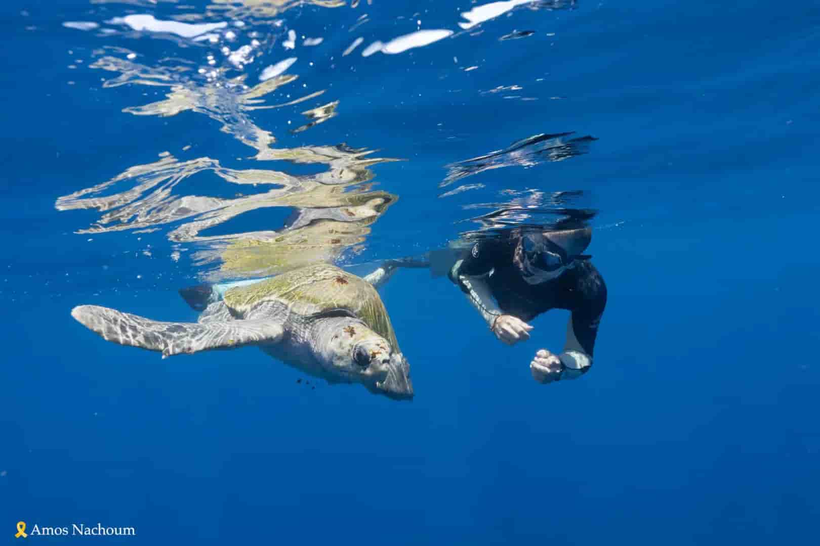 Thumbnail 5 Thumbnail 5