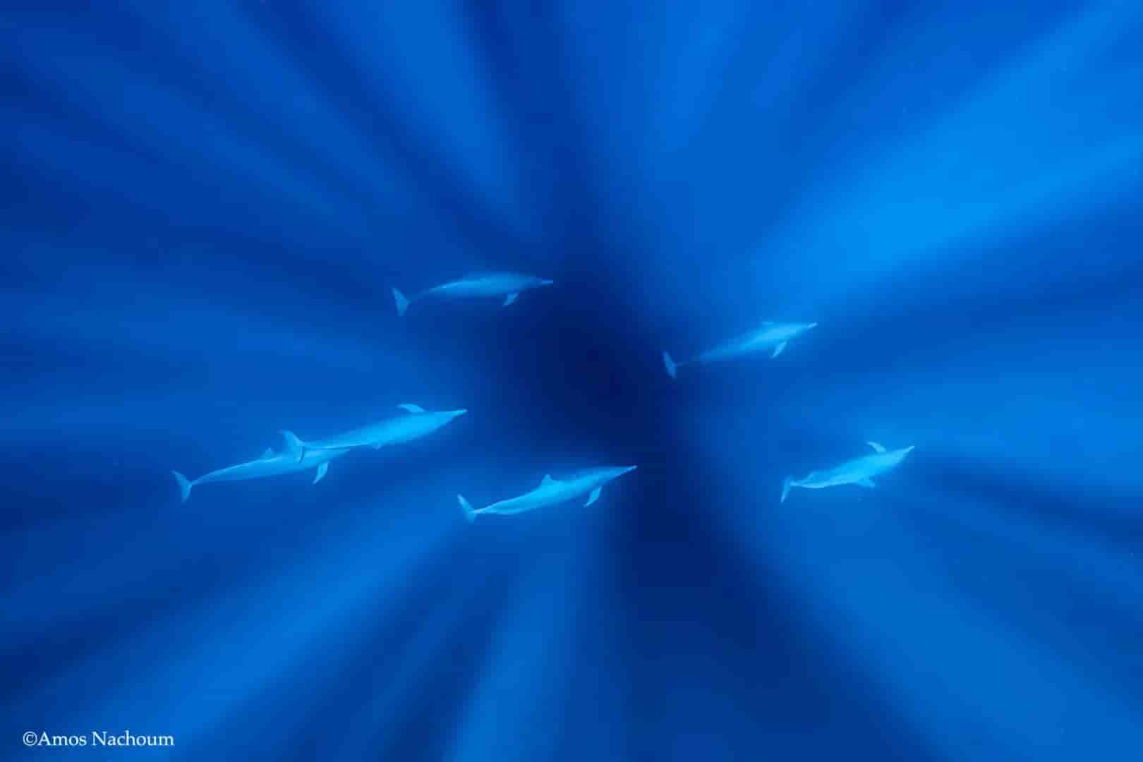 Thumbnail 6 Thumbnail 6