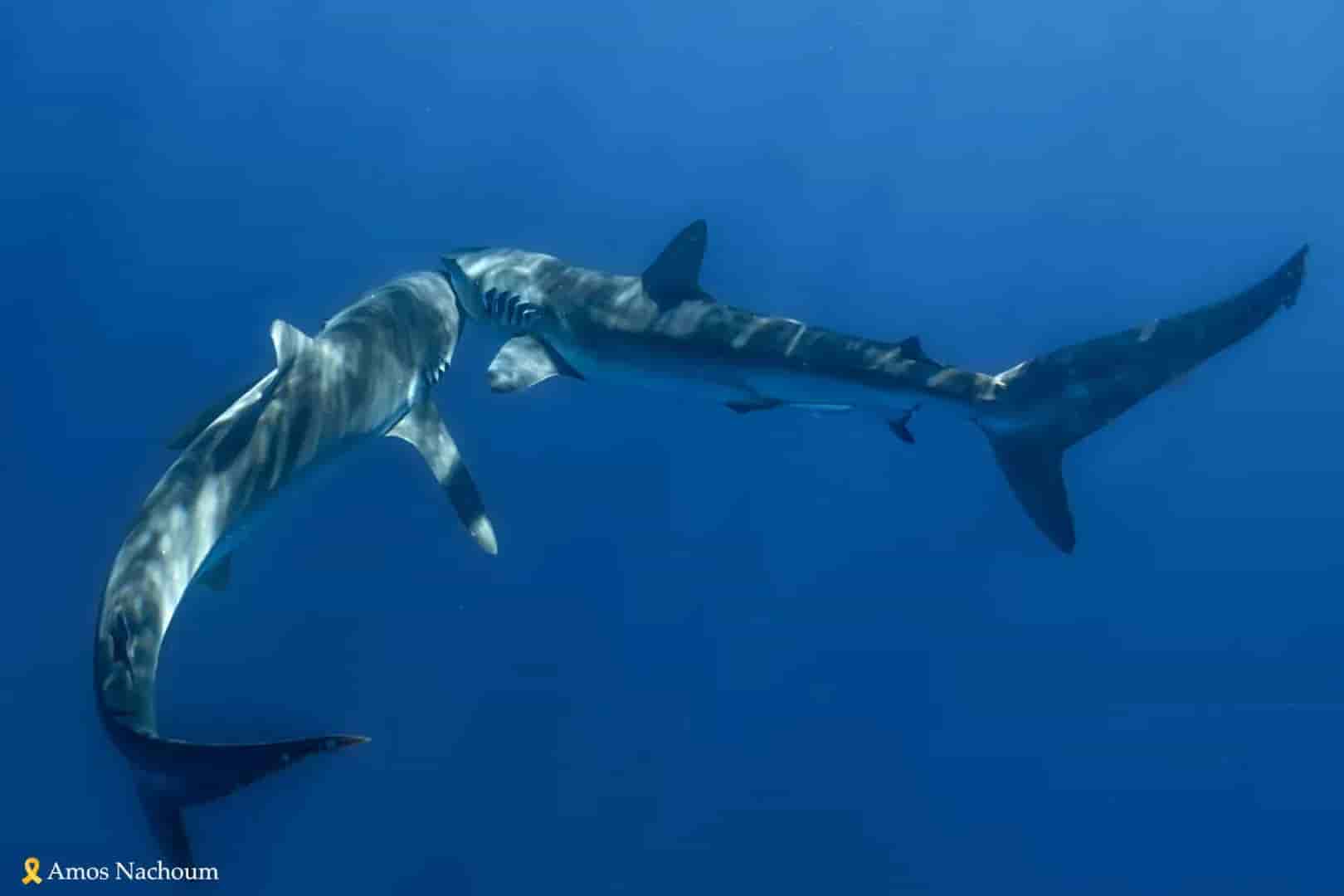 Thumbnail 7 Thumbnail 7