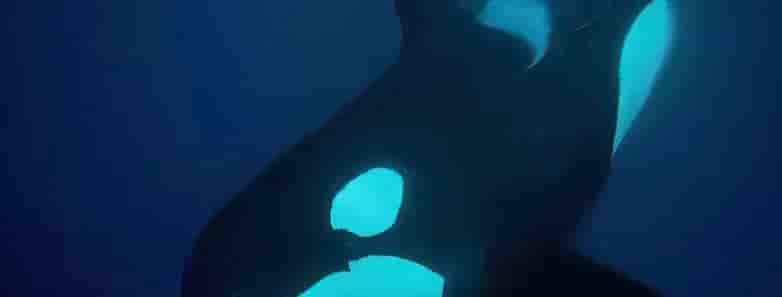 Thumbnail 9 Thumbnail 9