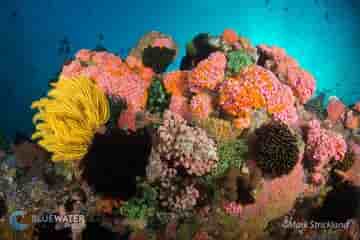 Thumbnail 7 Thumbnail 7