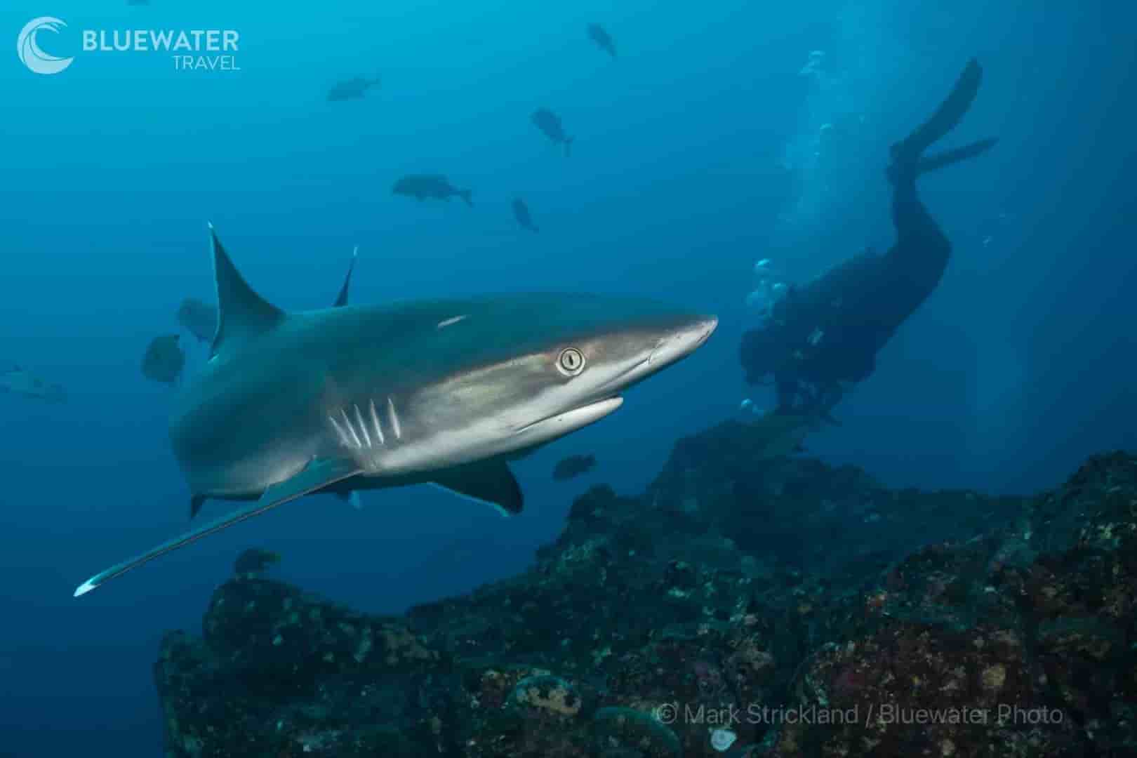 Thumbnail 1 Thumbnail 1