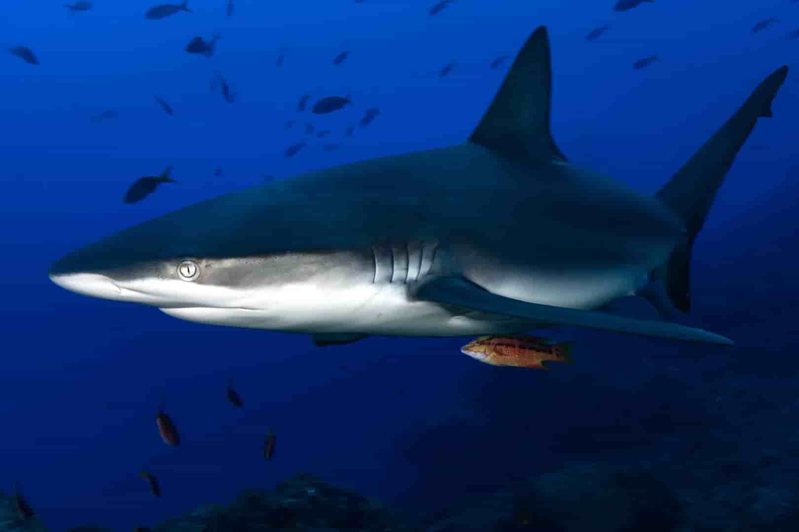 Thumbnail 7 Thumbnail 7