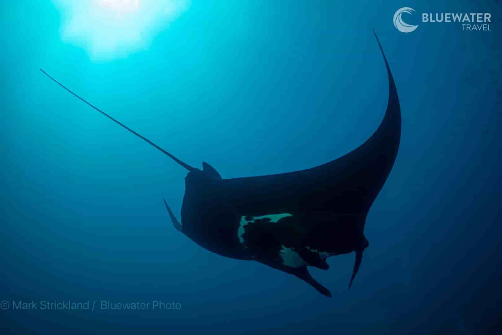 Thumbnail 11 Thumbnail 11