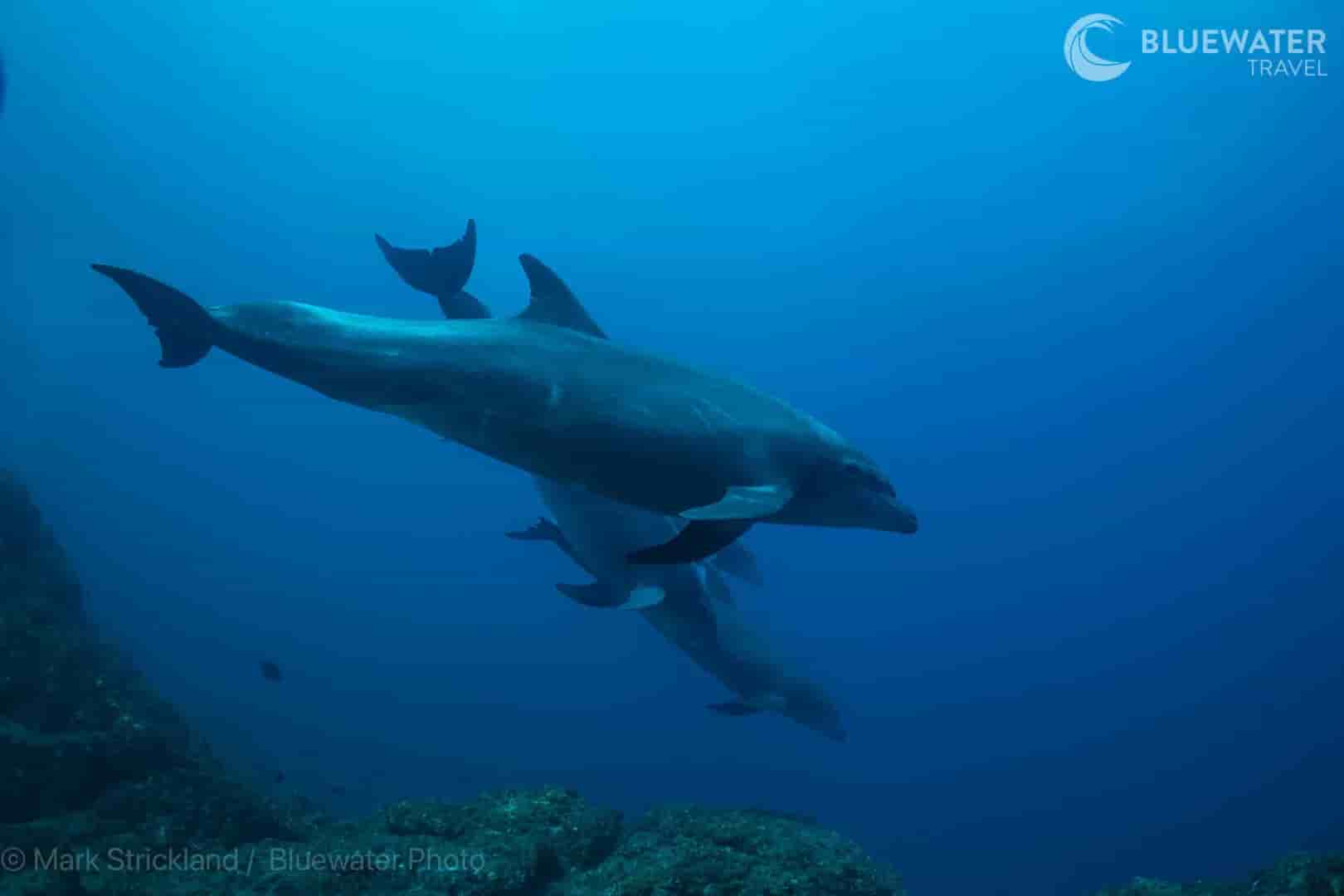 Thumbnail 12 Thumbnail 12