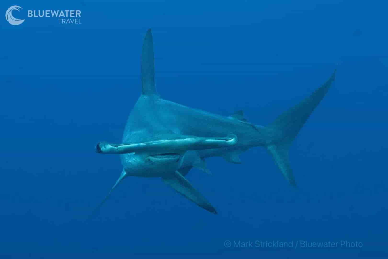 Thumbnail 13 Thumbnail 13