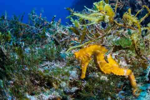 Thumbnail 3 Thumbnail 3