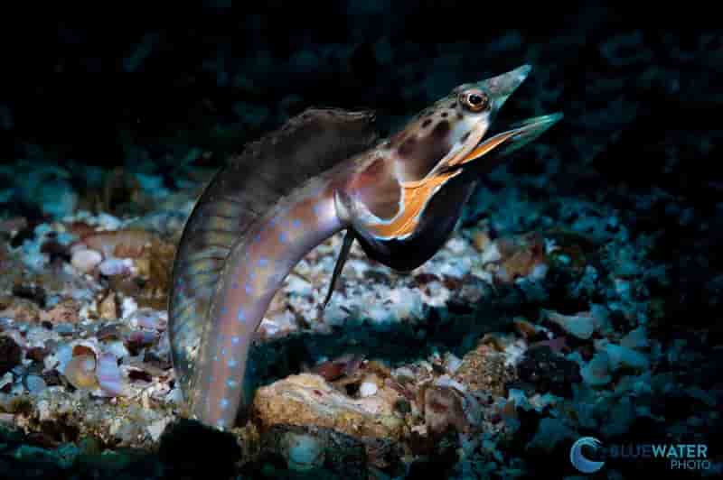 Thumbnail 6 Thumbnail 6