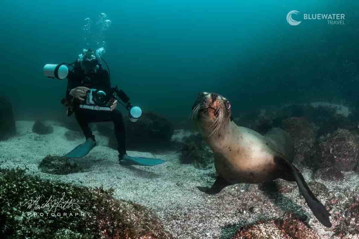 Thumbnail 7 Thumbnail 7