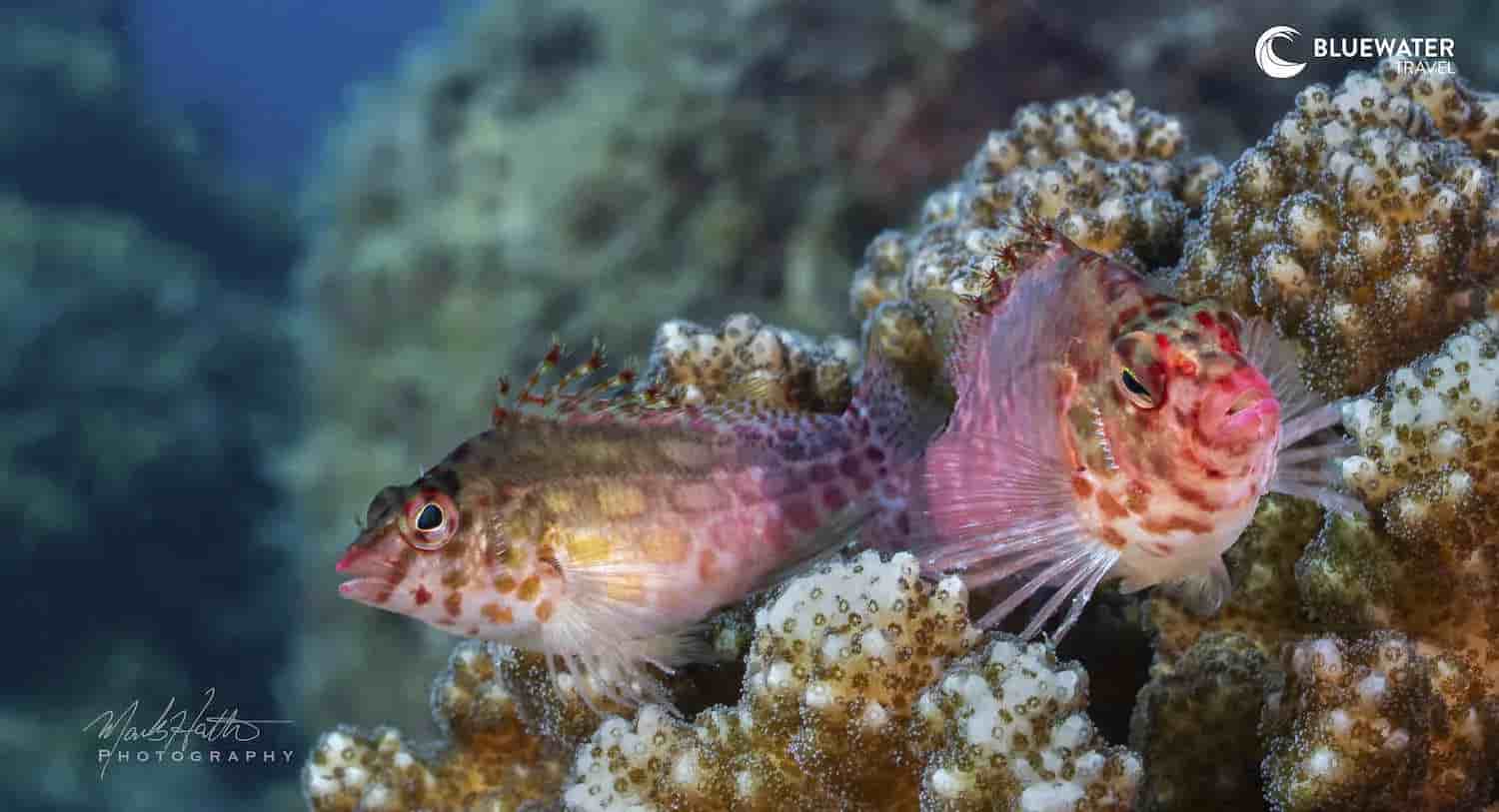 Thumbnail 2 Thumbnail 2