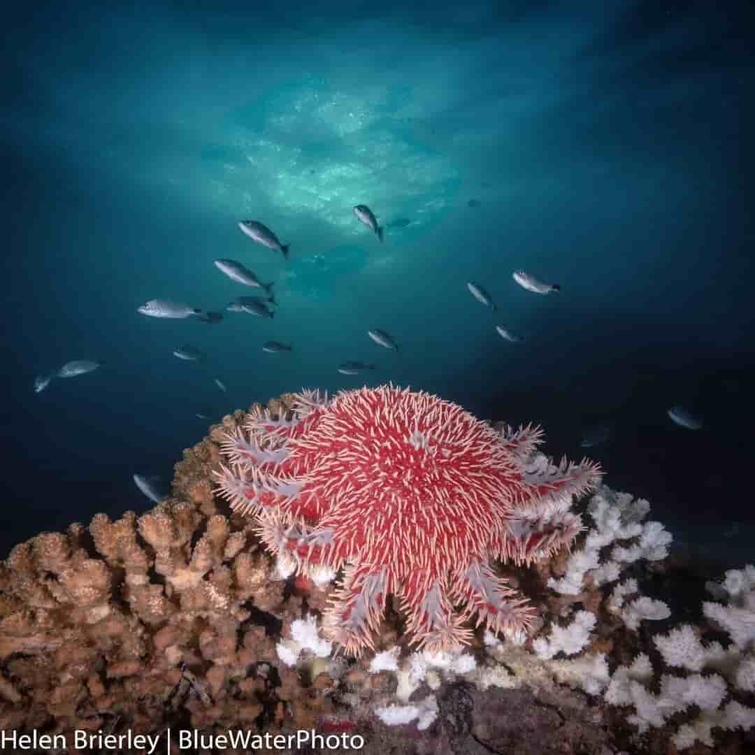 Thumbnail 4 Thumbnail 4