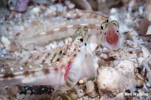 Thumbnail 8 Thumbnail 8