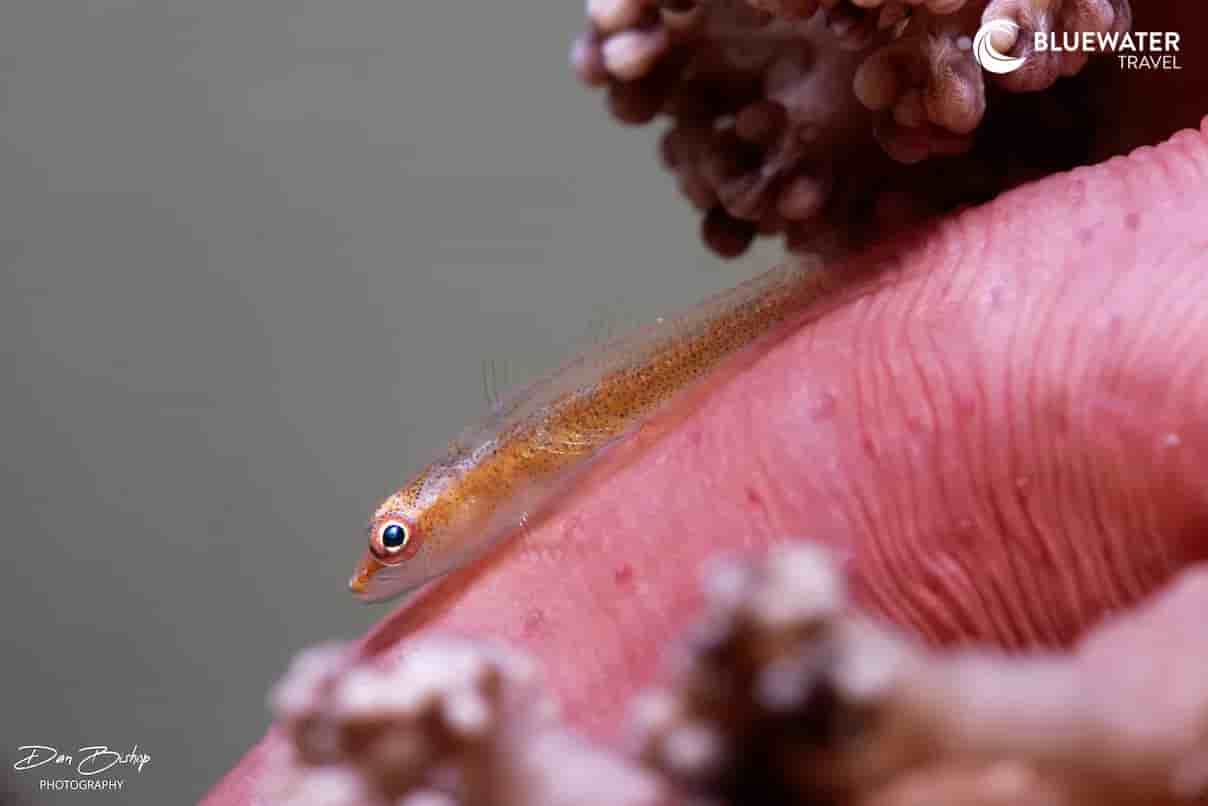 Thumbnail 2 Thumbnail 2