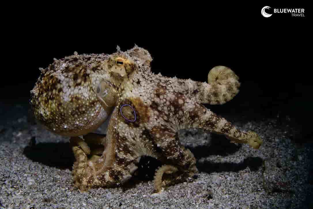 Thumbnail 3 Thumbnail 3