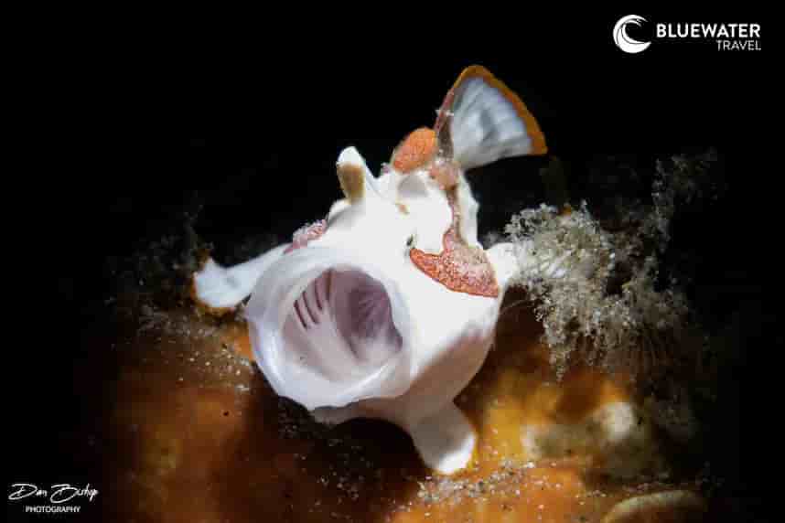 Thumbnail 4 Thumbnail 4