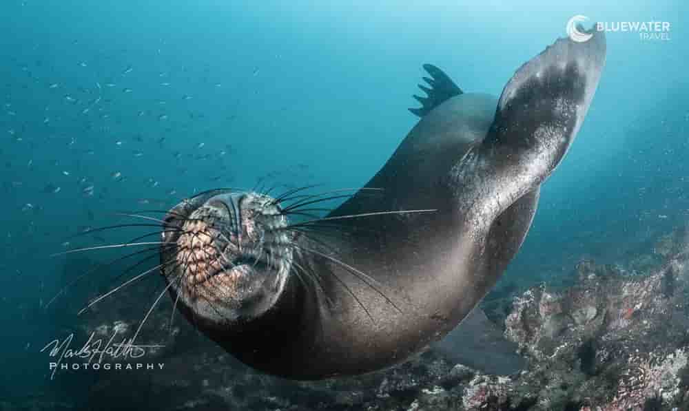 Thumbnail 2 Thumbnail 2