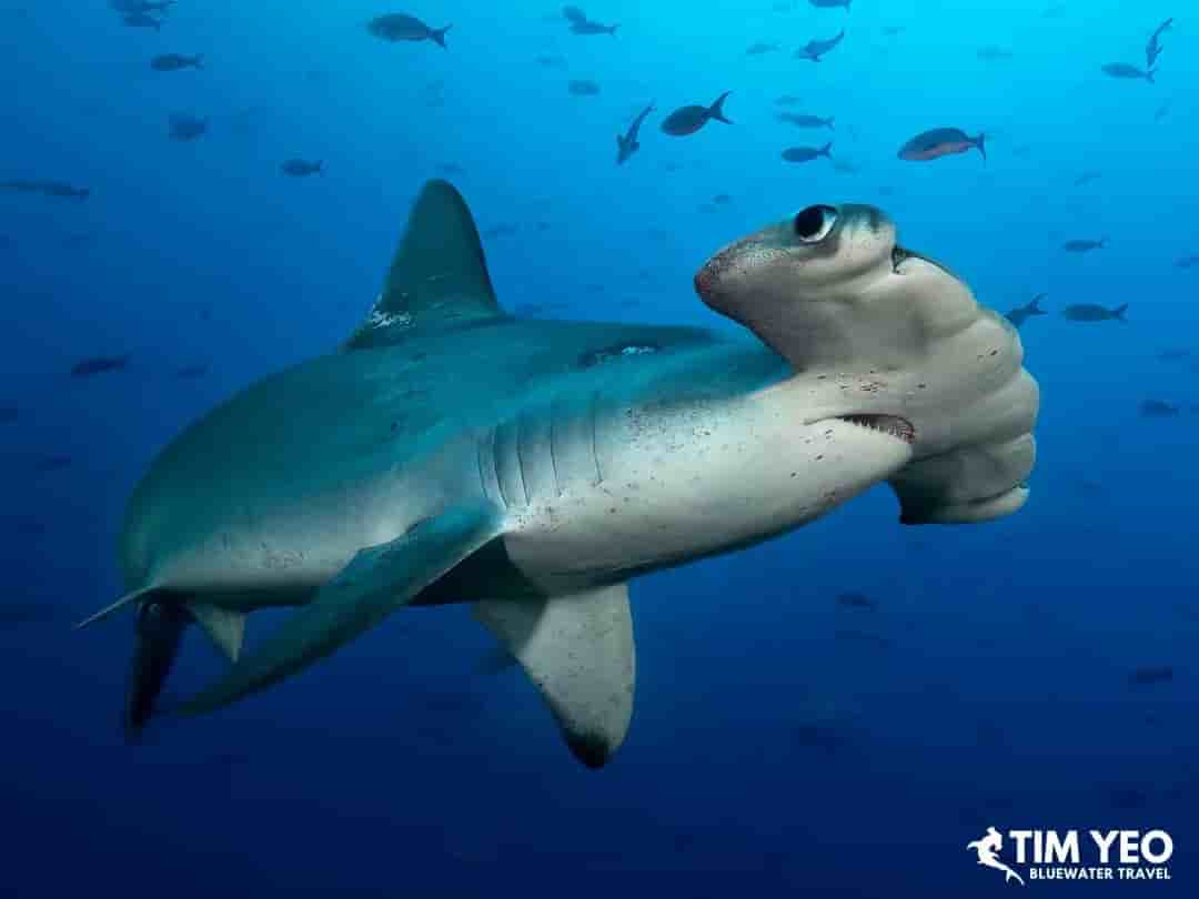 Thumbnail 3 Thumbnail 3