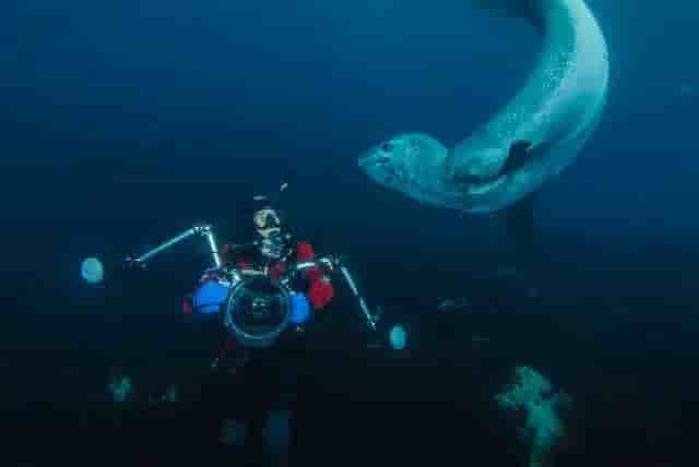 Thumbnail 1 Thumbnail 1