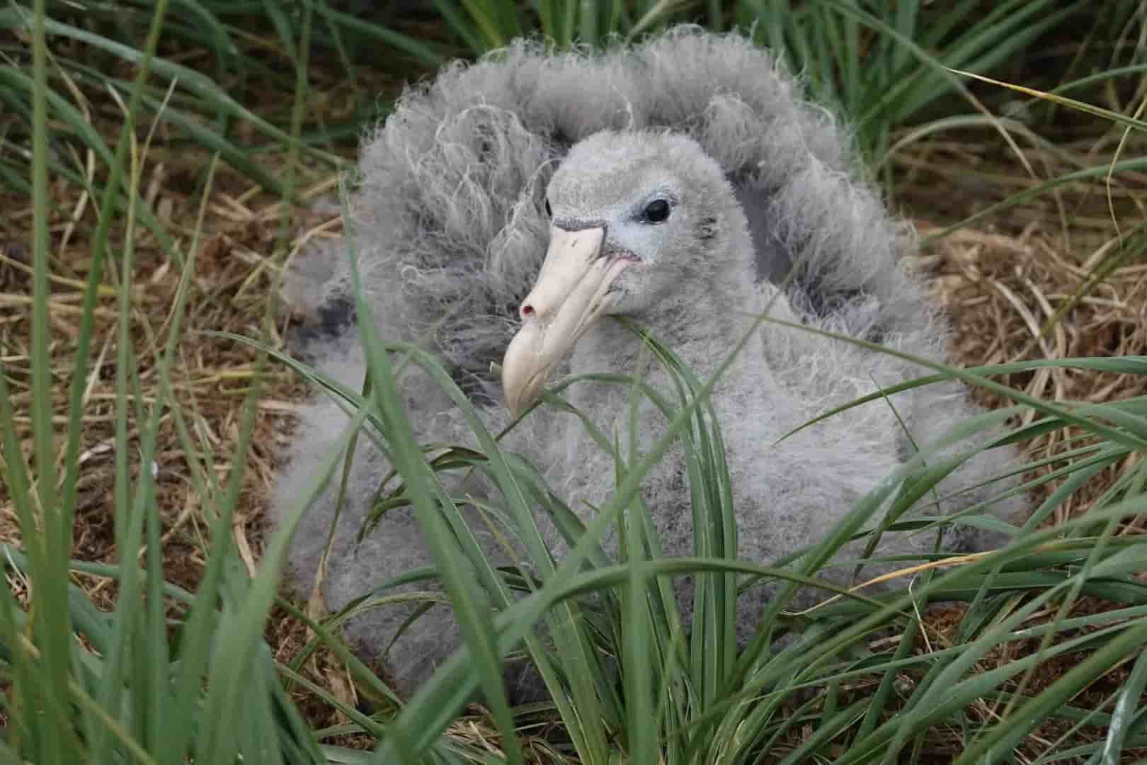 Thumbnail 2 Thumbnail 2