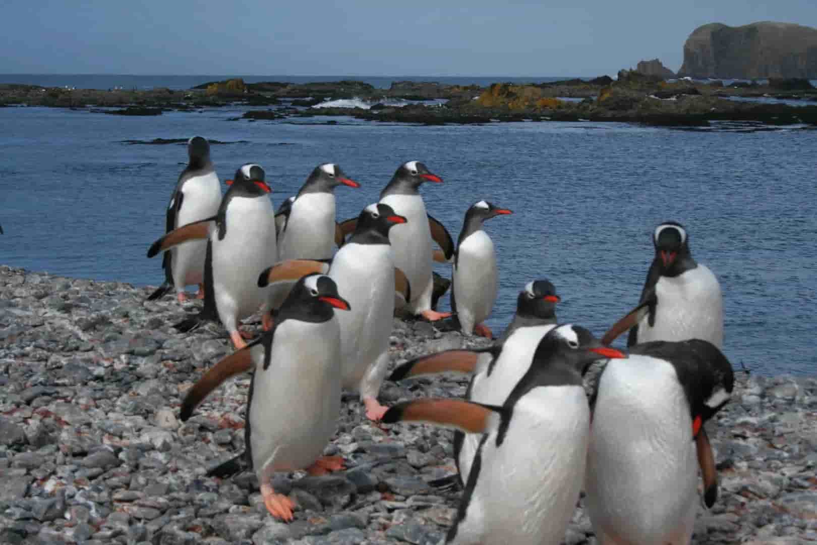 Thumbnail 3 Thumbnail 3