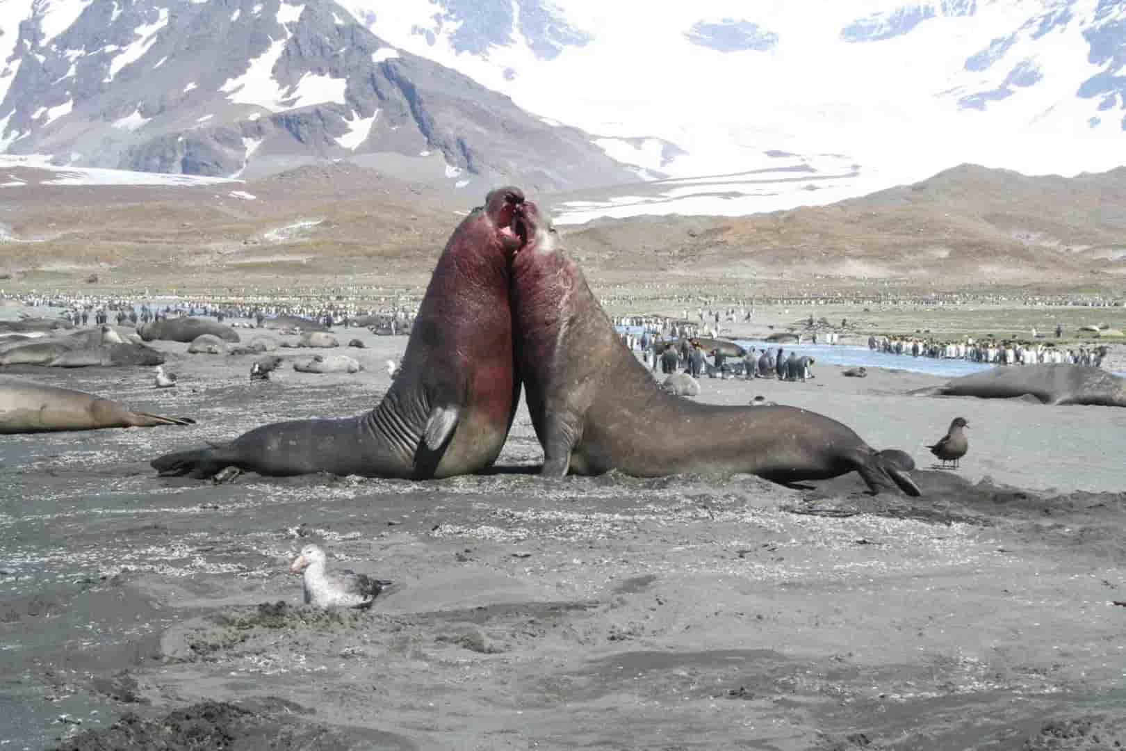 Thumbnail 4 Thumbnail 4