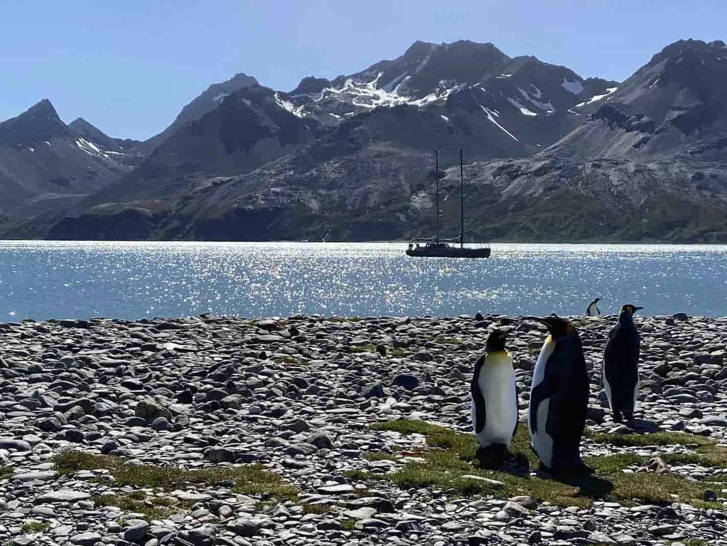 Thumbnail 5 Thumbnail 5