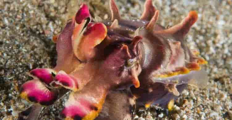 Thumbnail 2 Thumbnail 2