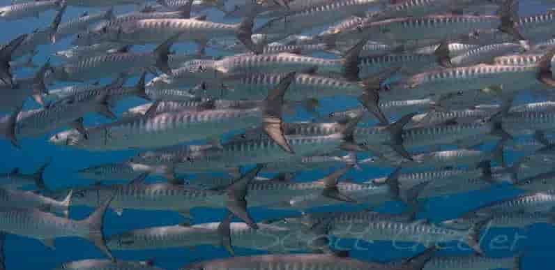 Thumbnail 6 Thumbnail 6