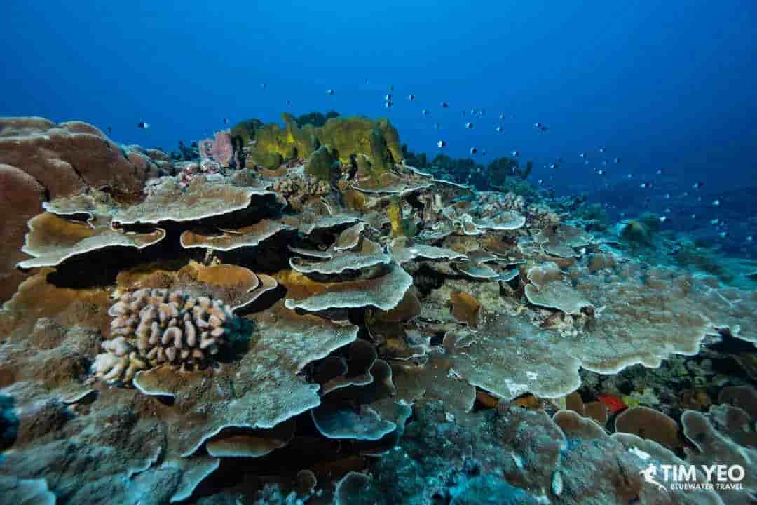 Thumbnail 3 Thumbnail 3