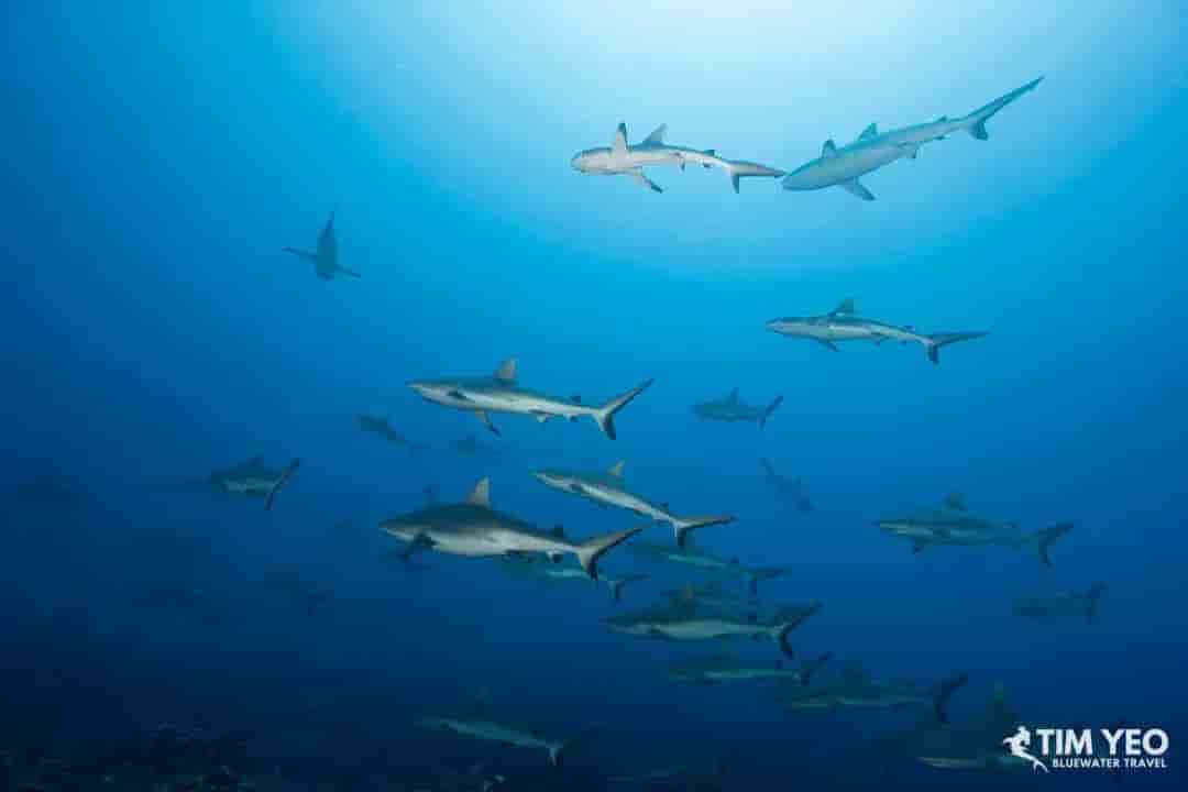 Thumbnail 4 Thumbnail 4