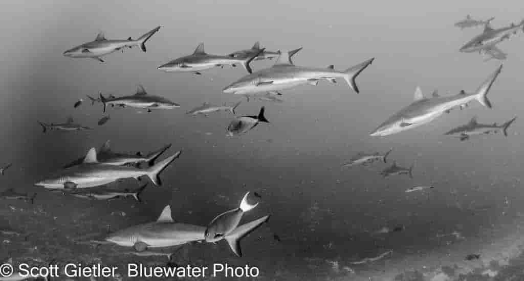 Thumbnail 6 Thumbnail 6