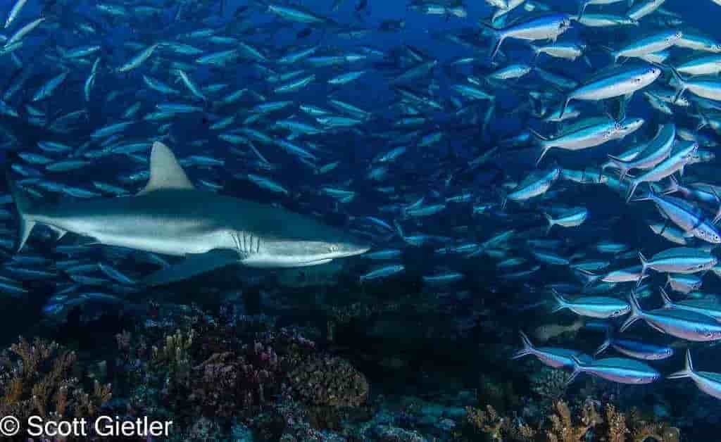 Thumbnail 7 Thumbnail 7