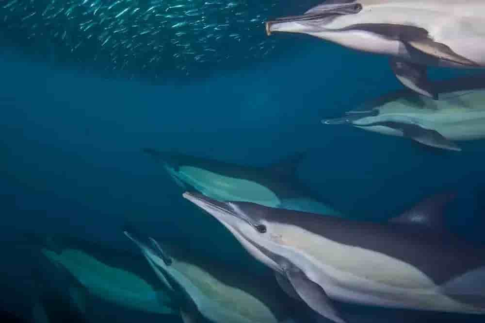 Thumbnail 1 Thumbnail 1