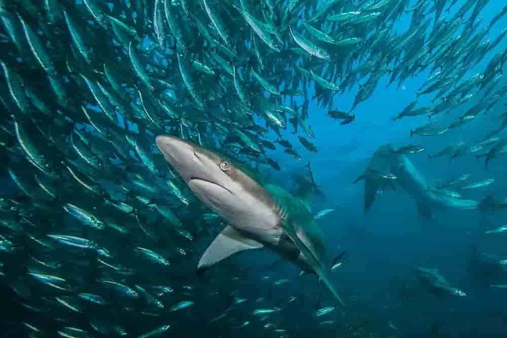 Thumbnail 3 Thumbnail 3