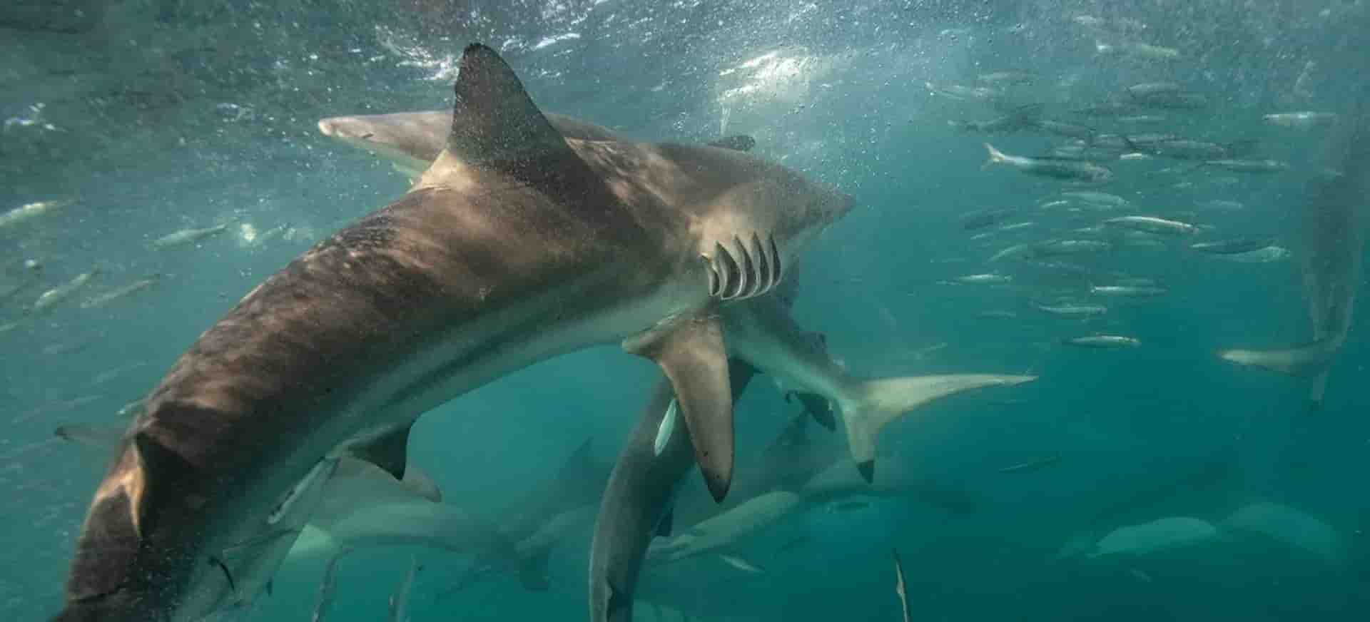 Thumbnail 4 Thumbnail 4