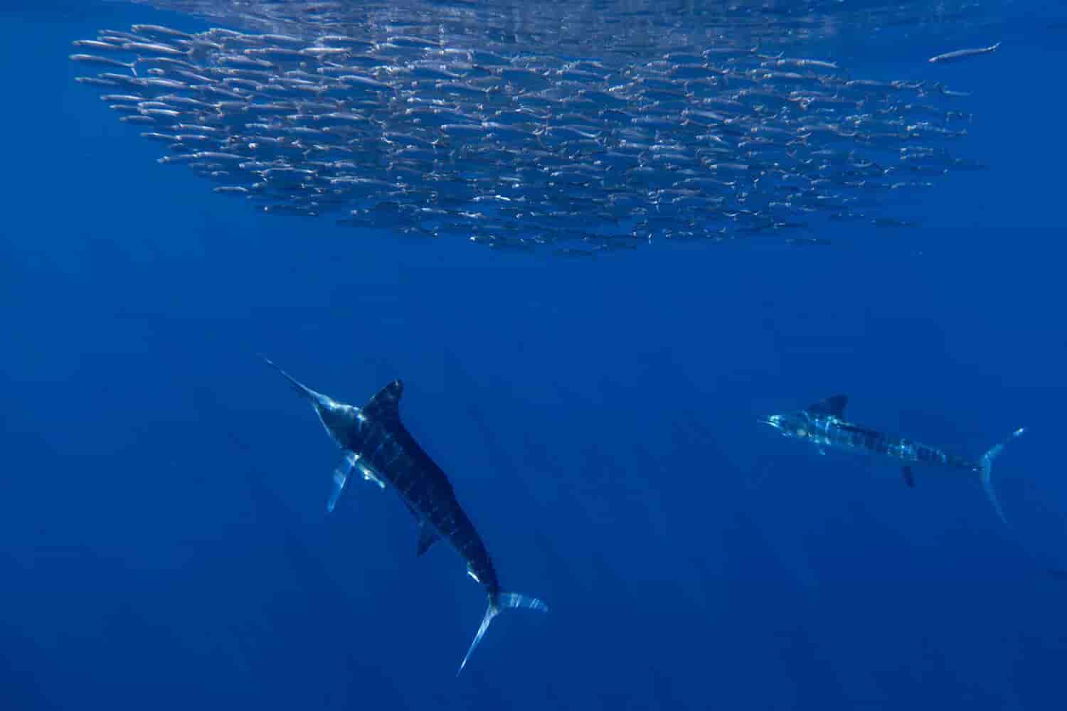 Thumbnail 4 Thumbnail 4