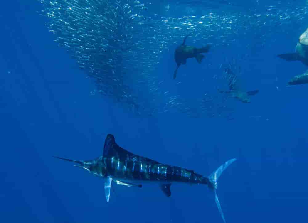 Thumbnail 6 Thumbnail 6