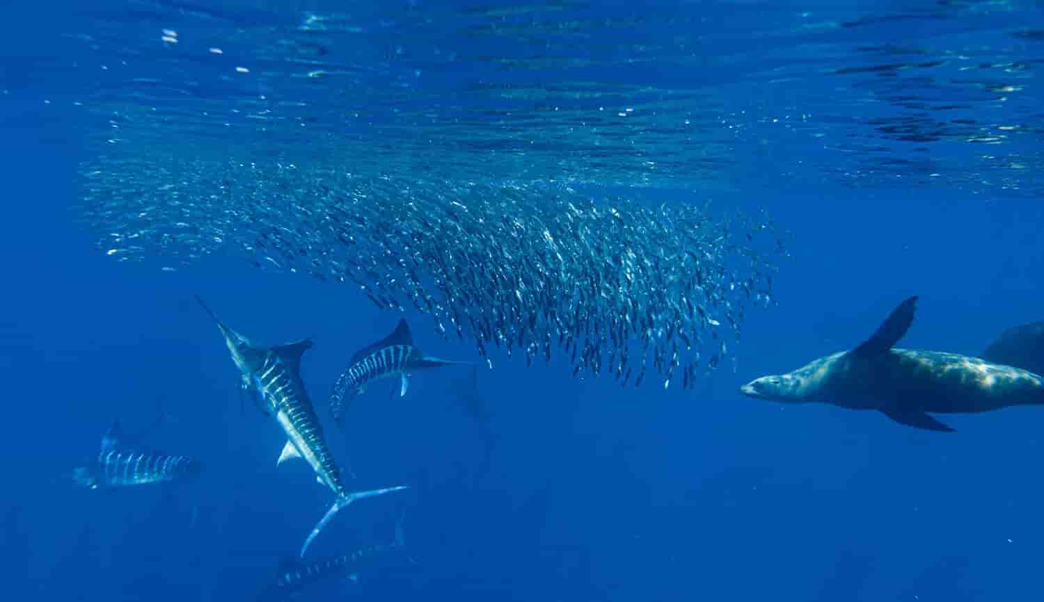 Thumbnail 7 Thumbnail 7